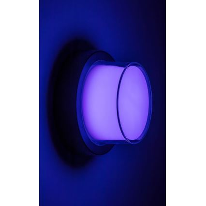 Rabalux - LED RGBW Ulkoseinävalaisin LED/10W/230V IP54 Wi-Fi Tuya