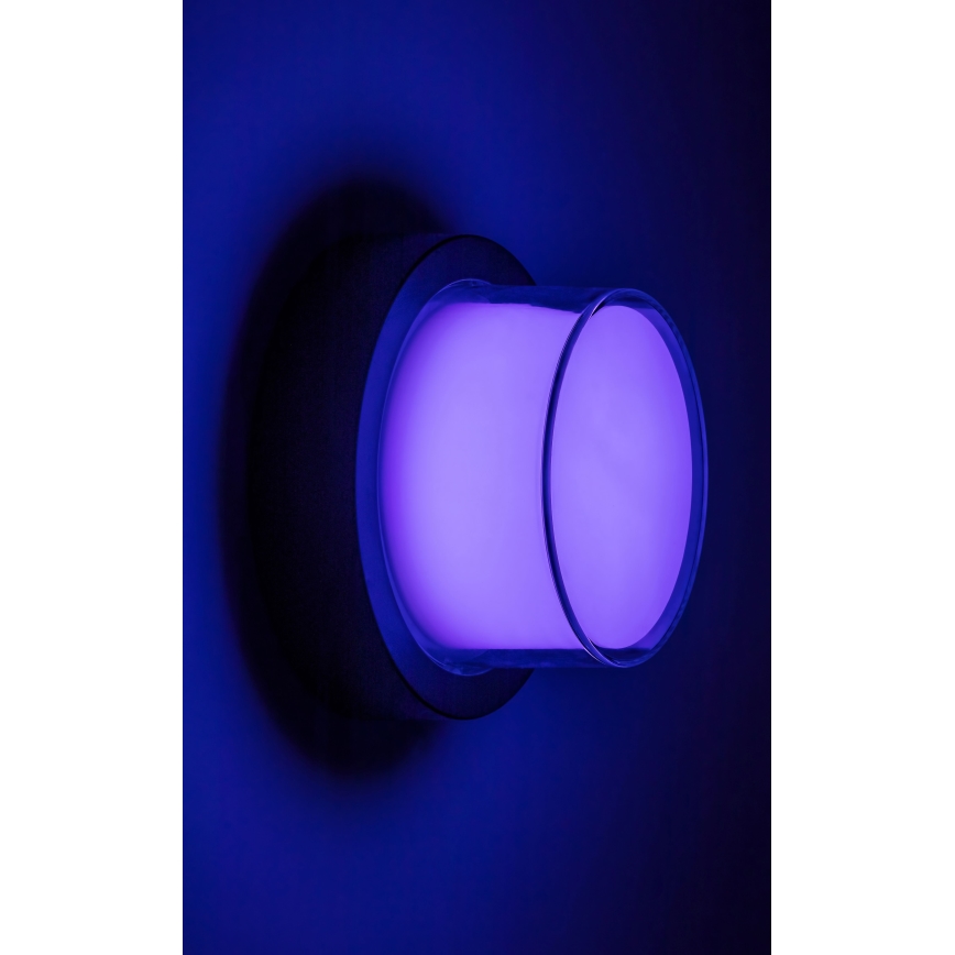Rabalux - LED RGBW Ulkoseinävalaisin LED/10W/230V IP54 Wi-Fi Tuya