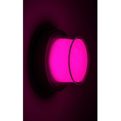 Rabalux - LED RGBW Ulkoseinävalaisin LED/10W/230V IP54 Wi-Fi Tuya