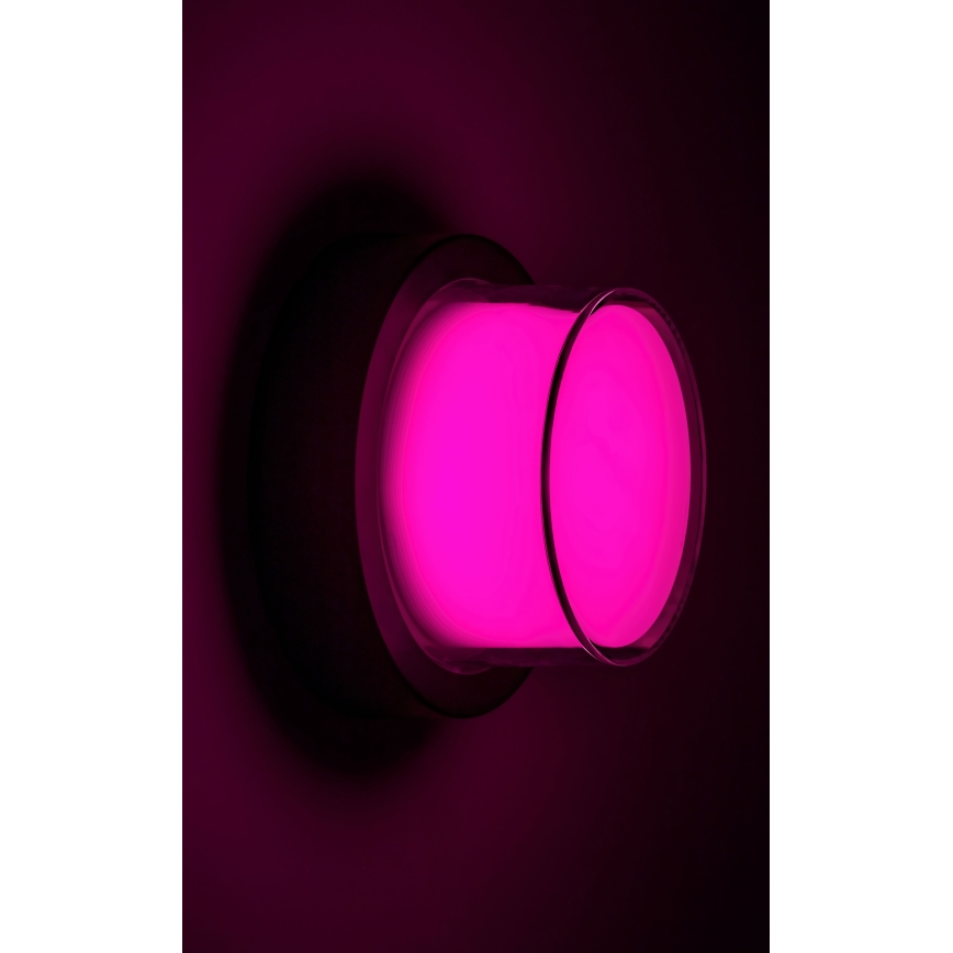 Rabalux - LED RGBW Ulkoseinävalaisin LED/10W/230V IP54 Wi-Fi Tuya