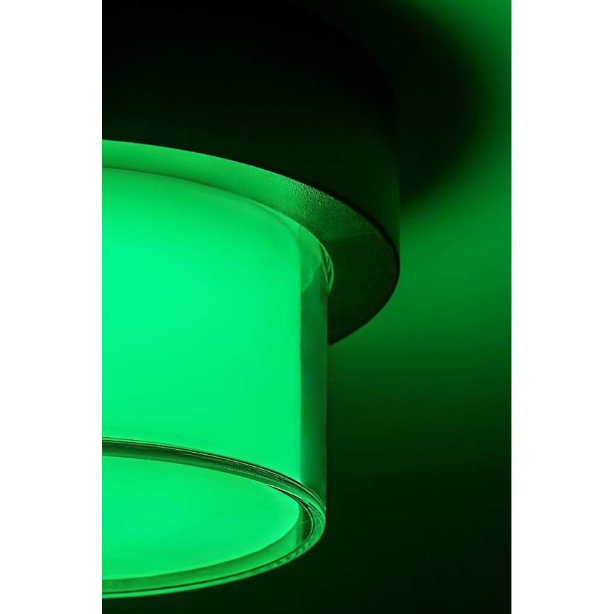Rabalux - LED RGBW Ulkoseinävalaisin LED/10W/230V IP54 Wi-Fi Tuya