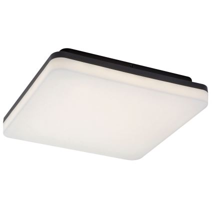 Rabalux - LED Kylpyhuoneen kattovalaisin LED/24W/230V IP54