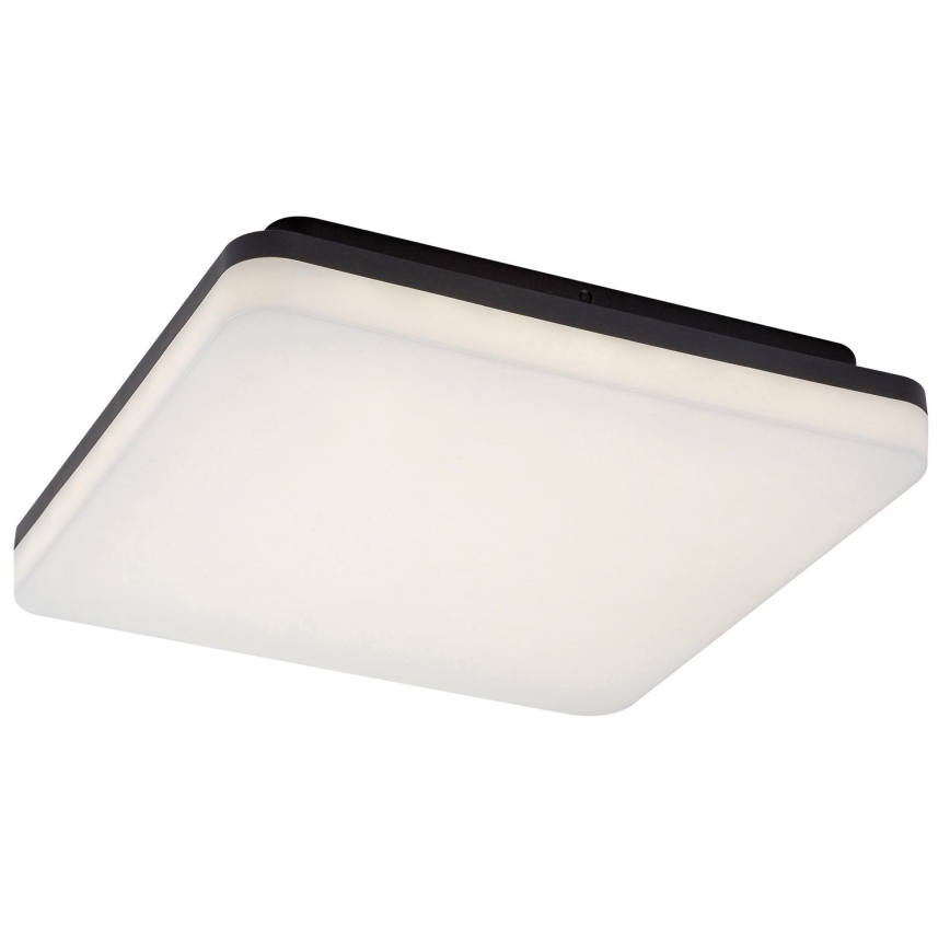 Rabalux - LED Kylpyhuoneen kattovalaisin LED/24W/230V IP54