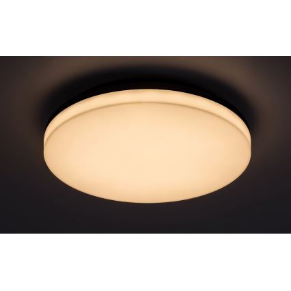 Rabalux - LED Kylpyhuoneen kattovalaisin LED/24W/230V IP54