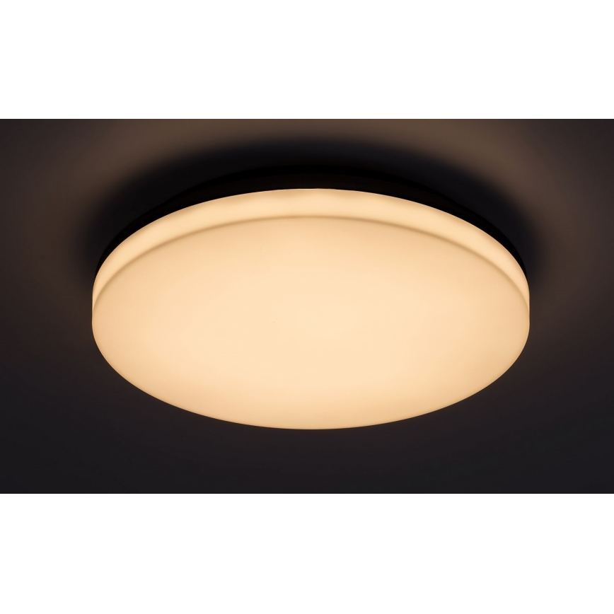 Rabalux - LED Kylpyhuoneen kattovalaisin LED/24W/230V IP54