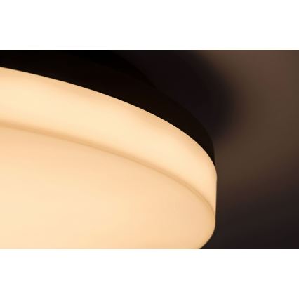 Rabalux - LED Kylpyhuoneen kattovalaisin LED/24W/230V IP54