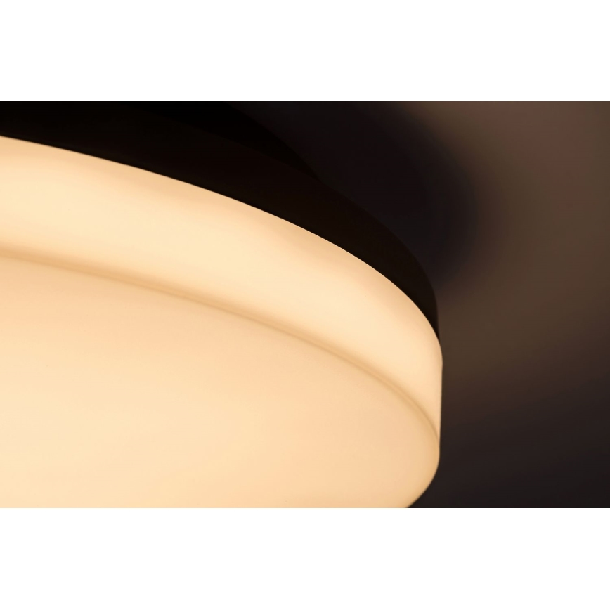 Rabalux - LED Kylpyhuoneen kattovalaisin LED/24W/230V IP54