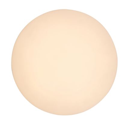Rabalux - LED Kylpyhuoneen kattovalaisin LED/24W/230V IP54