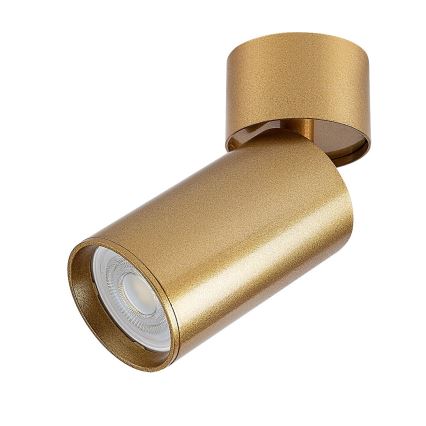 Rabalux - Kohdevalo 1xGU10/5W/230V kulta