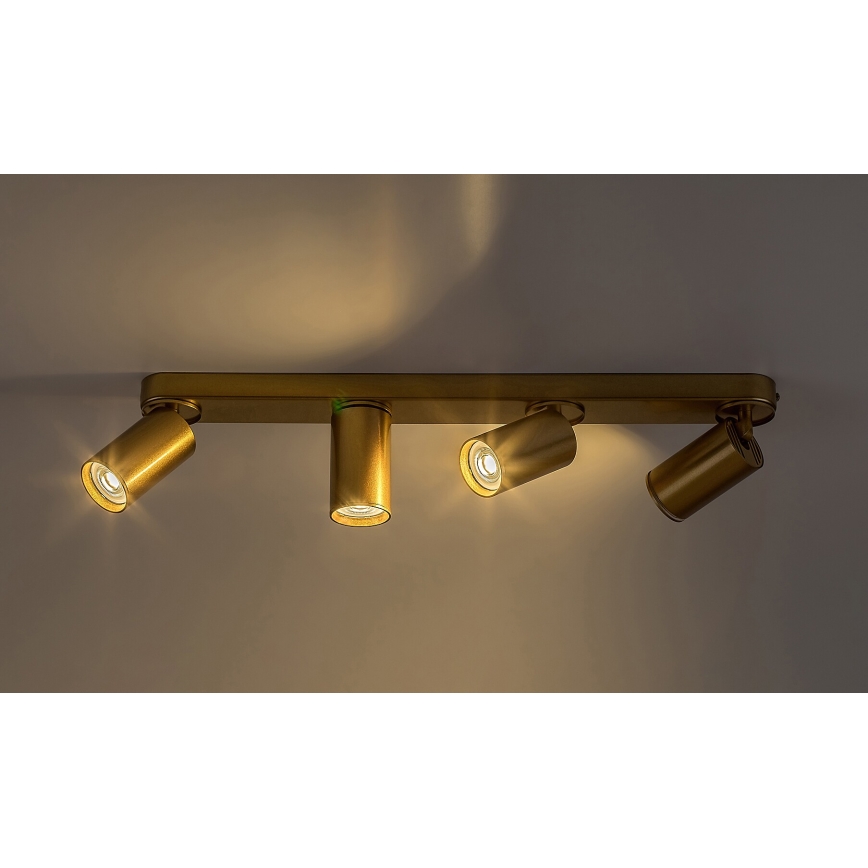 Rabalux - Kohdevalo 4xGU10/5W/230V kulta