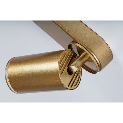 Rabalux - Kohdevalo 4xGU10/5W/230V kulta