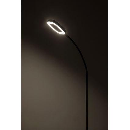 Rabalux - LED Himmennettävä kosketus lattialamppu LED/11W/230V 3000K