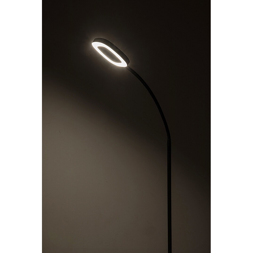 Rabalux - LED Himmennettävä kosketus lattialamppu LED/11W/230V 3000K