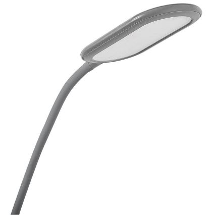Rabalux - LED Himmennettävä touch lattialamppu LED/10W/230V 3000-6000K harmaa
