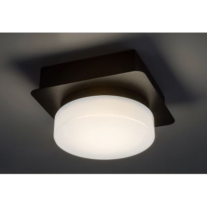 Rabalux - LED-kylpyhuonekattovalaisin LED/5W/230V IP44 4000K musta