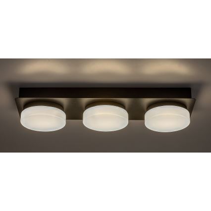 Rabalux - LED-kylpyhuonekattovalaisin 3xLED/6W/230V IP44 musta