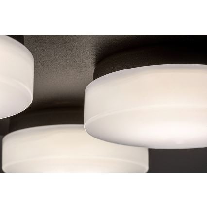 Rabalux - LED Kattovalaisin Kylpyhuoneeseen 4xLED/5,2W/230V IP44 musta