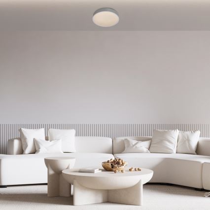 Rabalux - LED-kattovalaisin LED/18W/230V IP44 4000K hopea halkaisija 28 cm