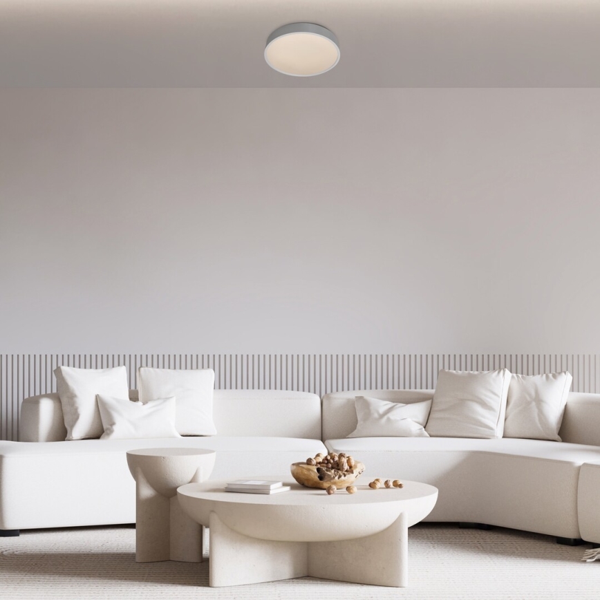 Rabalux - LED-kattovalaisin LED/18W/230V IP44 4000K hopea halkaisija 28 cm
