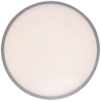 Rabalux - LED-kattovalaisin LED/18W/230V IP44 4000K hopea halkaisija 28 cm