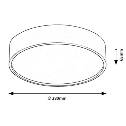 Rabalux - LED-kattovalaisin LED/18W/230V IP44 4000K hopea halkaisija 28 cm