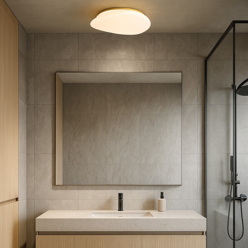 Rabalux - LED-kylpyhuoneen kattovalaisin LED/24W/230V IP44 halkaisija 41 cm