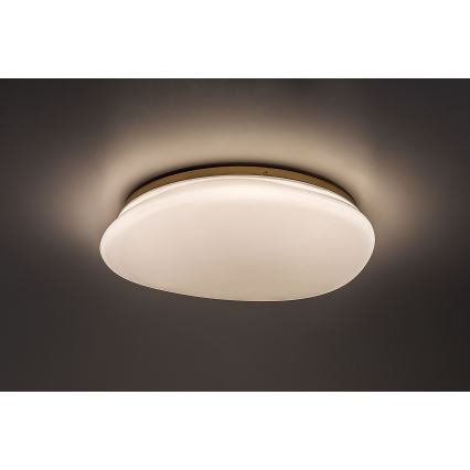 Rabalux - LED-kylpyhuoneen kattovalaisin LED/24W/230V IP44 halkaisija 41 cm