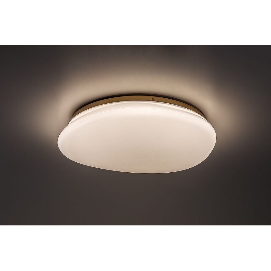 Rabalux - LED-kylpyhuoneen kattovalaisin LED/24W/230V IP44 halkaisija 41 cm