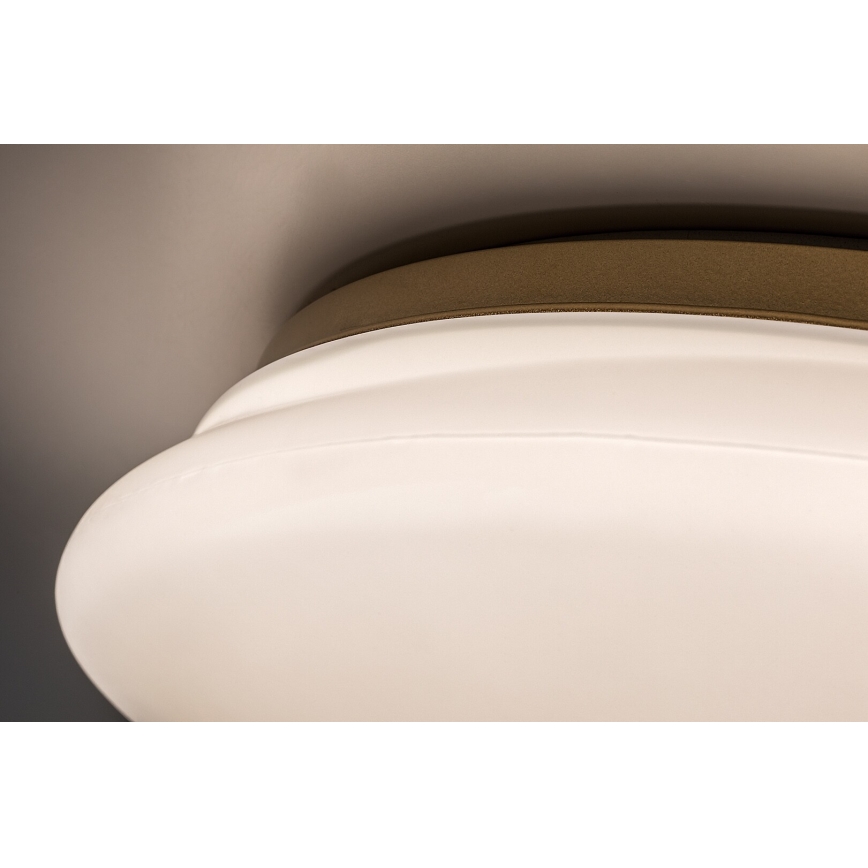 Rabalux - LED-kylpyhuoneen kattovalaisin LED/24W/230V IP44 halkaisija 41 cm