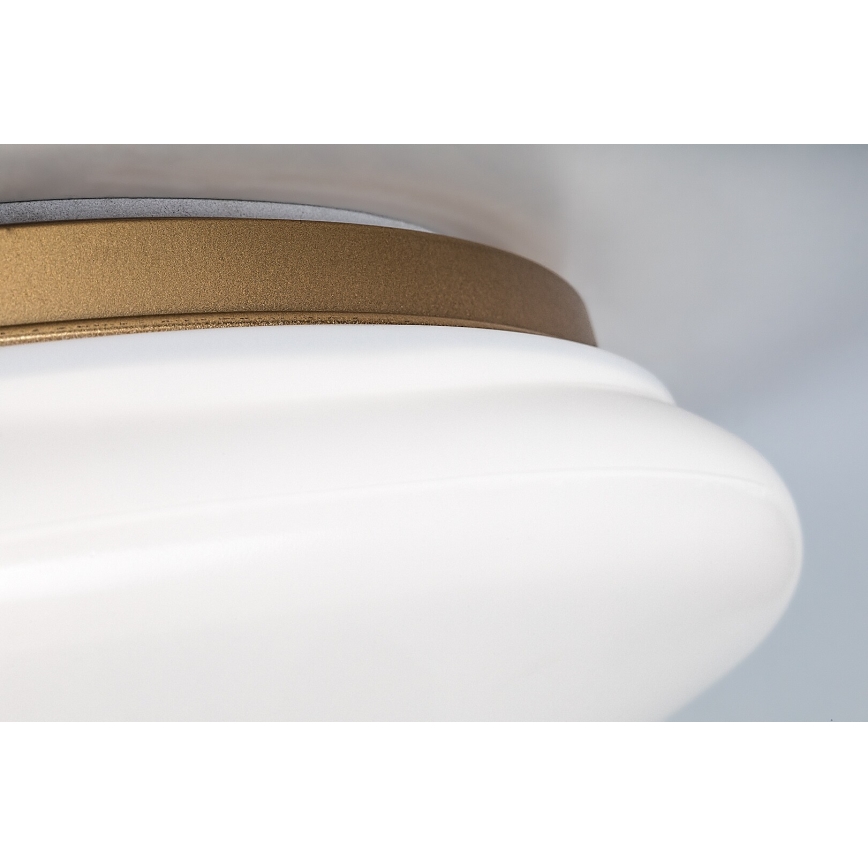 Rabalux - LED-kylpyhuoneen kattovalaisin LED/24W/230V IP44 halkaisija 41 cm