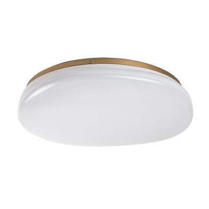 Rabalux - LED-kylpyhuoneen kattovalaisin LED/24W/230V IP44 halkaisija 41 cm