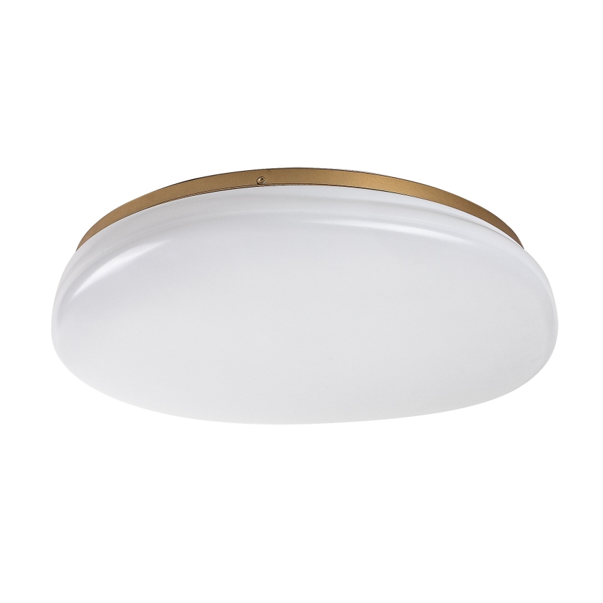 Rabalux - LED-kylpyhuoneen kattovalaisin LED/24W/230V IP44 halkaisija 41 cm