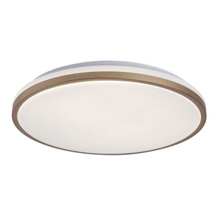 Rabalux - LED-kylpyhuoneen kattovalaisin LED/18W/230V IP44 halkaisija 34 cm