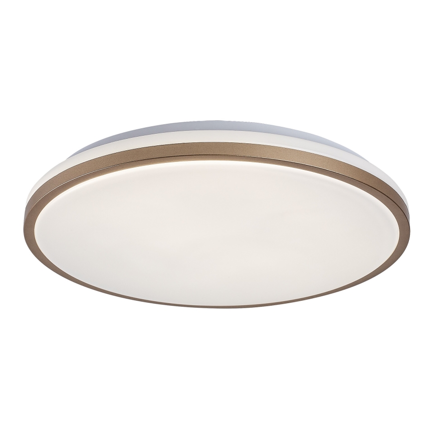 Rabalux - LED-kylpyhuoneen kattovalaisin LED/18W/230V IP44 halkaisija 34 cm