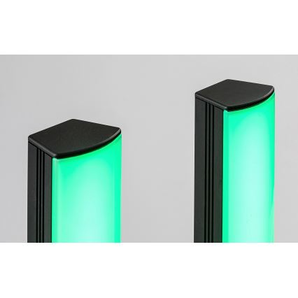 Rabalux - SETTI 2x LED RGB Himmennettävä pöytävalaisin PACO LED/5W/5V + kauko-ohjaus