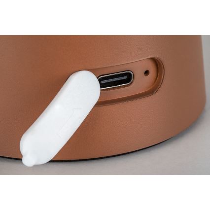 Rabalux - LED Himmennettävä kosketusohjaimella varustettu ladattava ulkovalo LED/1,5W/5V IP44 1200 mAh USB ruskea