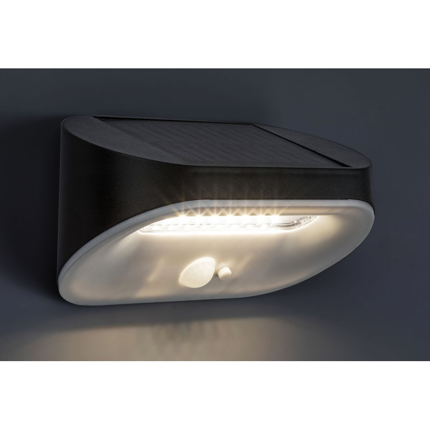 Rabalux - LED aurinkovalo anturilla LED/3,2W/3,7V IP44
