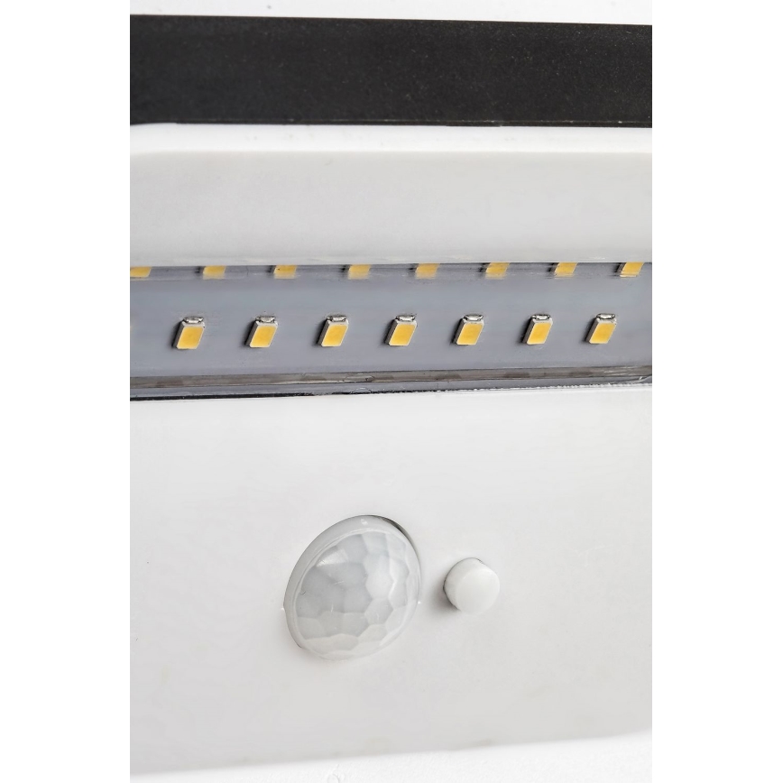 Rabalux - LED aurinkovalo anturilla LED/3,2W/3,7V IP44