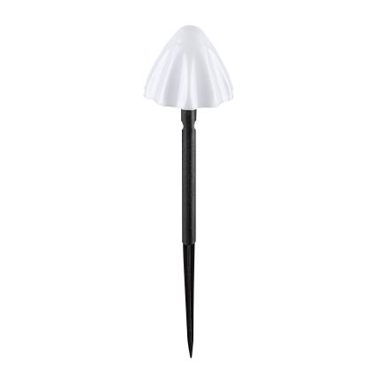 Rabalux - LED aurinkovalo 10xLED/0,2W/1,2V IP44