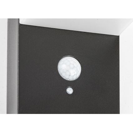 Rabalux - LED aurinkovalo anturilla LED/6W/3,7V IP44