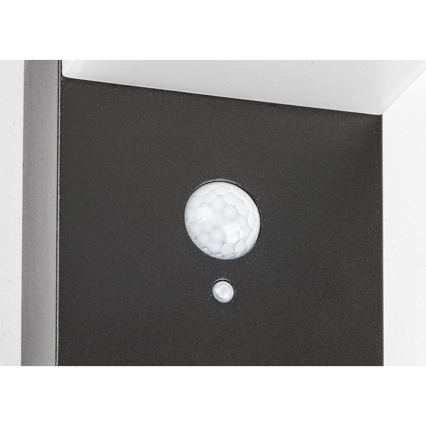 Rabalux - LED aurinkovalo anturilla LED/6W/3,7V IP44