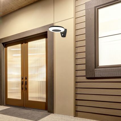 Rabalux - LED aurinkovalo anturilla LED/4W/3,7V IP44