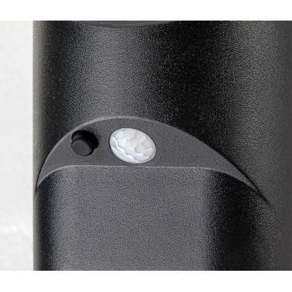Rabalux - LED aurinkovalo anturilla LED/3,6W/3,7V IP44