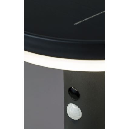 Rabalux - LED aurinkokennovalo anturilla LED/10W/3,7V IP44