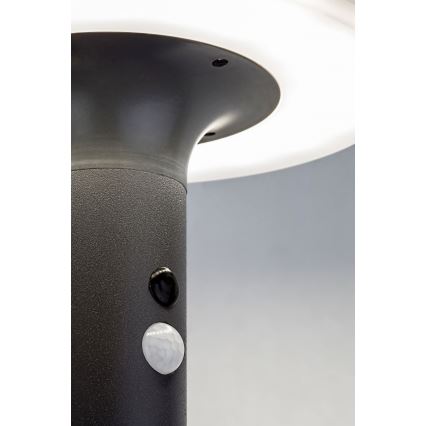 Rabalux - LED aurinkovalo anturilla LED/10W/3,7V IP44
