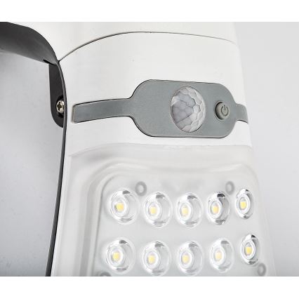 Rabalux - LED-himmennettävä aurinkovalo anturilla LED/4W/3,7V IP44