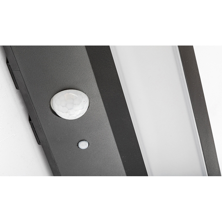 Rabalux - LED aurinkovalo anturilla LED/6W/3,7V IP44