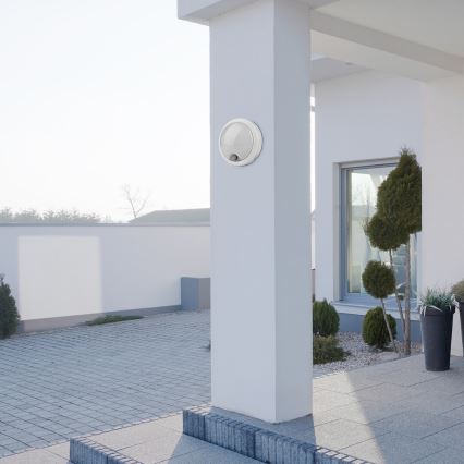 Rabalux - LED Ulkoseinävalaisin anturilla LED/15W/230V IP54