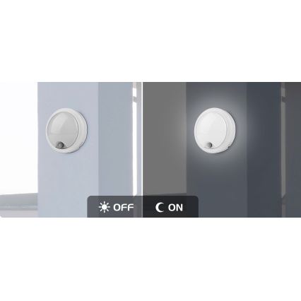 Rabalux - LED Ulkoseinävalaisin anturilla LED/15W/230V IP54