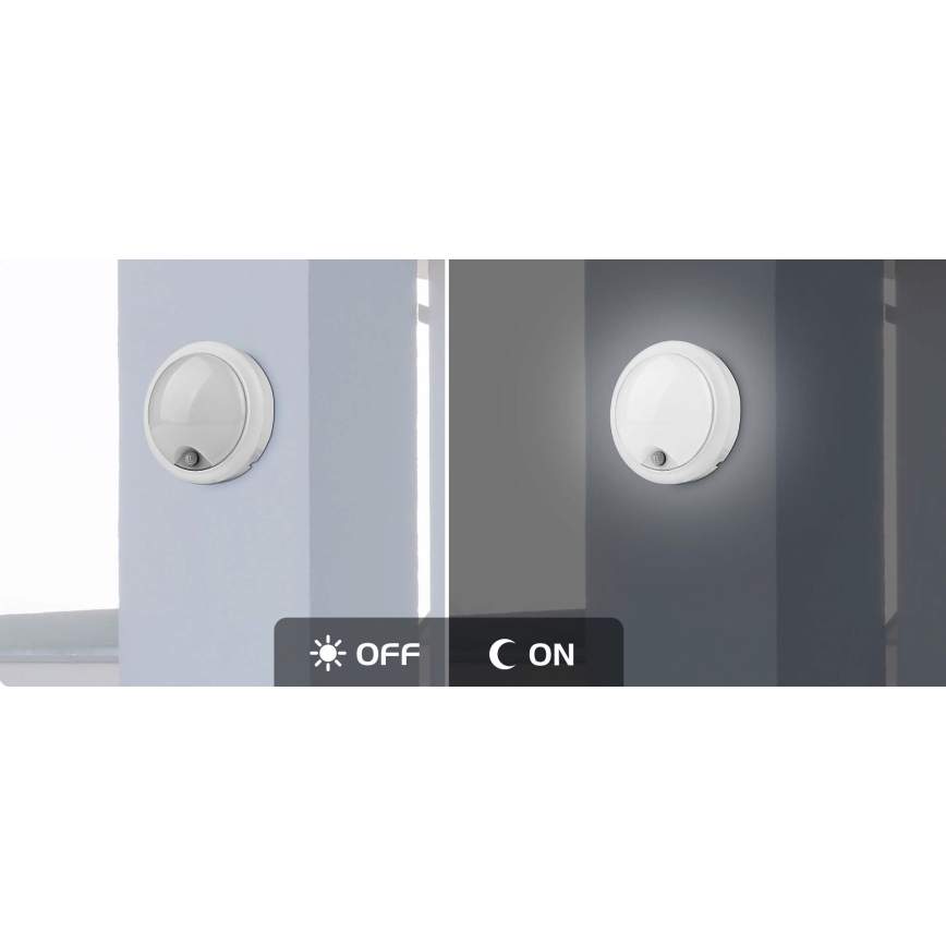 Rabalux - LED Ulkoseinävalaisin anturilla LED/15W/230V IP54